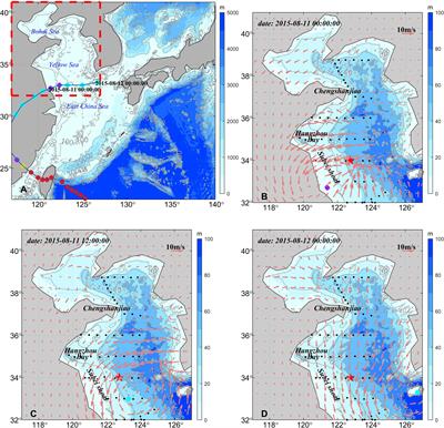 Two near-inertial peaks in antiphase controlled by stratification and tides in the Yellow Sea